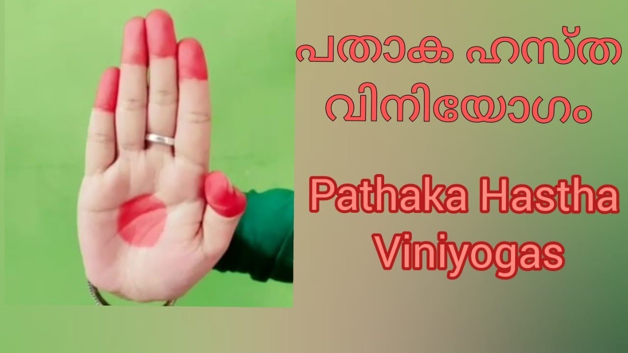 പതാക ഹസ്ത വിനോയോഗം #pathakahasthaviniyogas #bharathanatyam tutorial #threyosisters