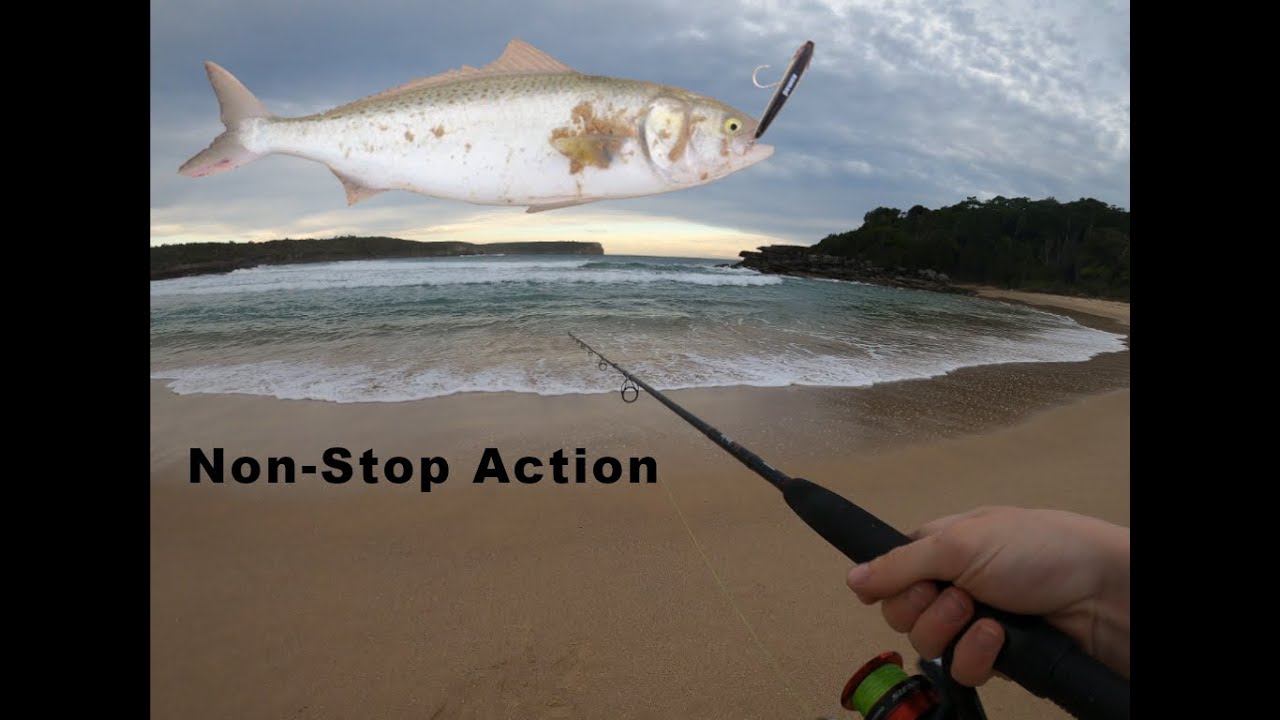 Catching And Cooking Whatever I Get at Jervis Bay (Spot Review)
