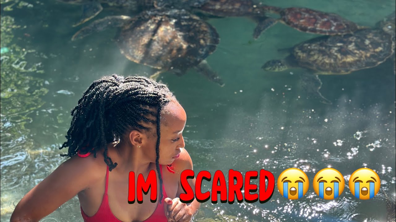 SWIMMING WITH TURTLES IN ZANZIBAR FOR THE FIRST TIME!! Never Again!