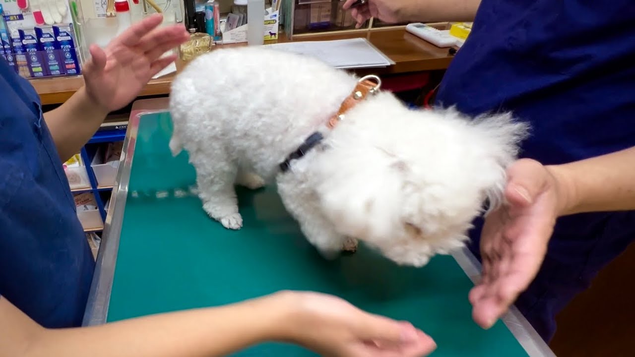 久々の病院で震えが止まらずパニックになる
