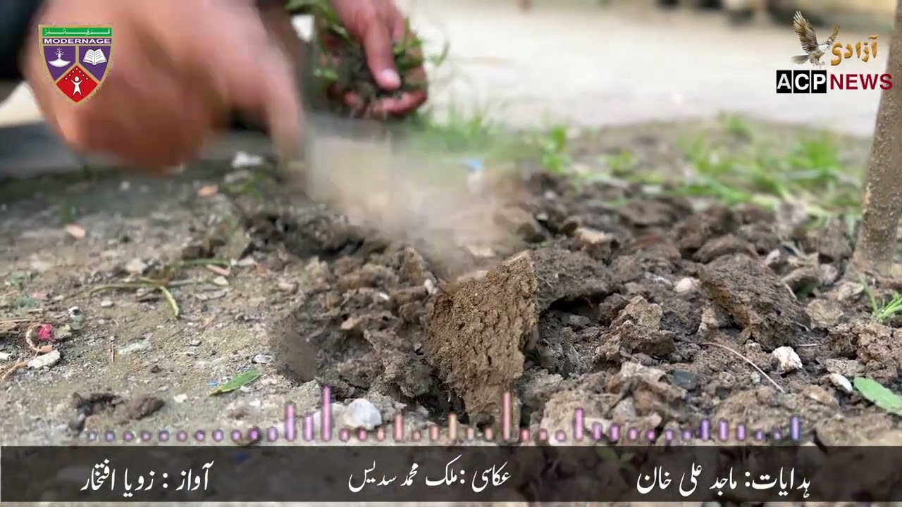 Mali Chacha — The Silent Gardener , A short story by School students