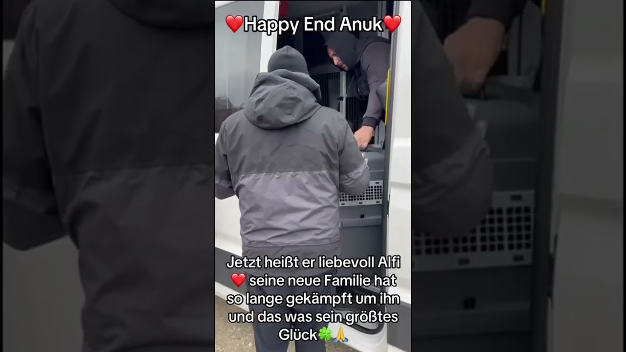 Türchen Nr.1 unsere lieber Anuk/Alfi und sein Happy End ❤️🙏