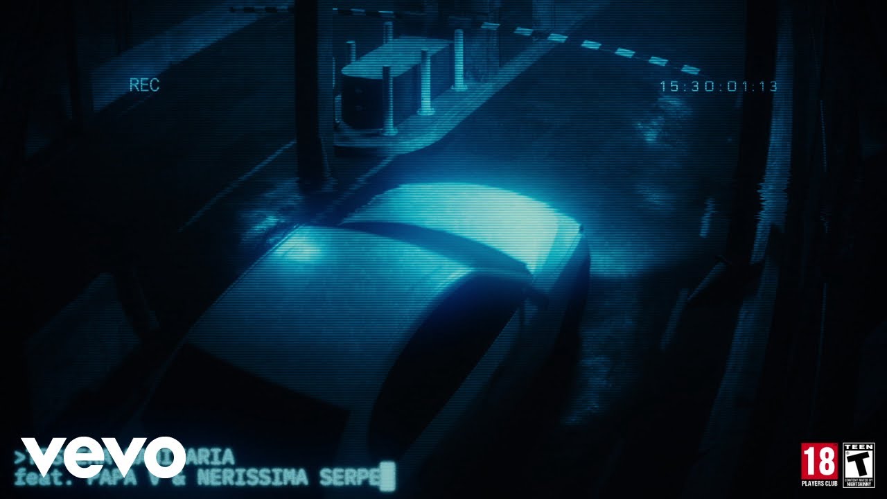 Night Skinny, Nerissima Serpe, Papa V - Tessera sanitaria (Visual)