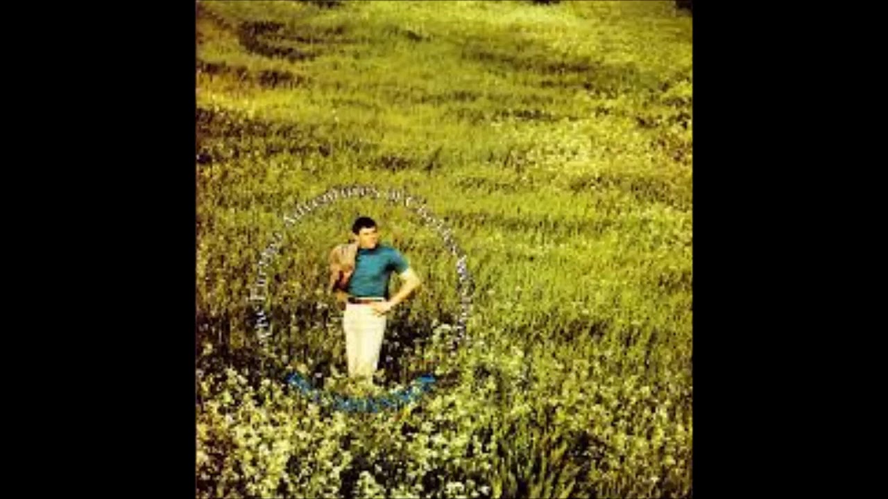 Del Shannon -  Colour Flashing Hair