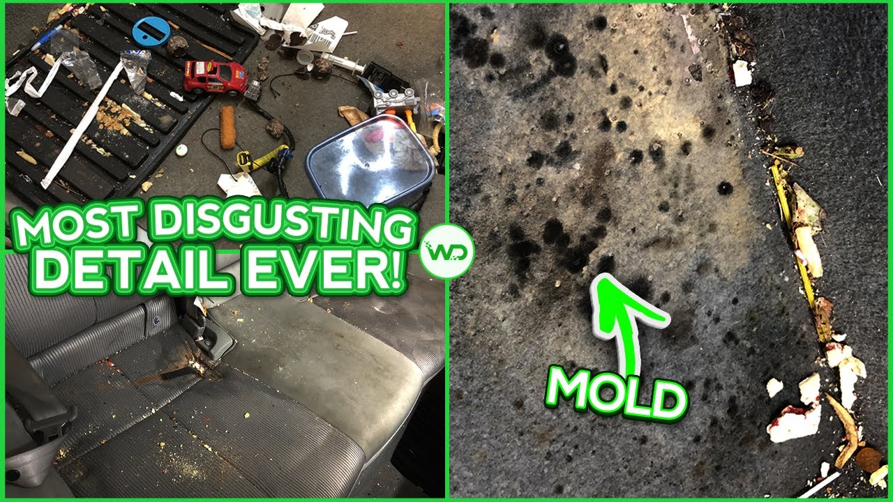 EXTREME Deep Cleaning of a Mom&rsquo;s MOLDIEST SUV EVER!  | Insane DISASTER Detail Transformation!