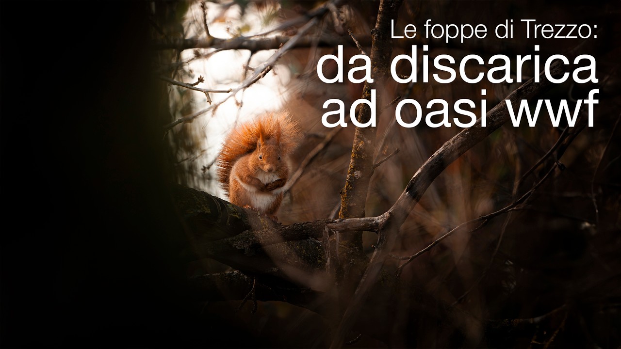 DA DISCARICA AD OASI WWF - La storia delle Foppe Radaelli 🌿
