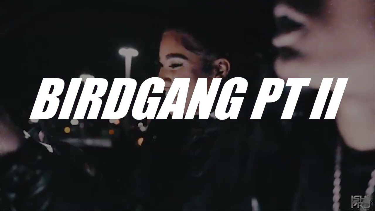 [Free][Sample] B Lovee x Dipset Drill type beat - BIRDGANG PT II