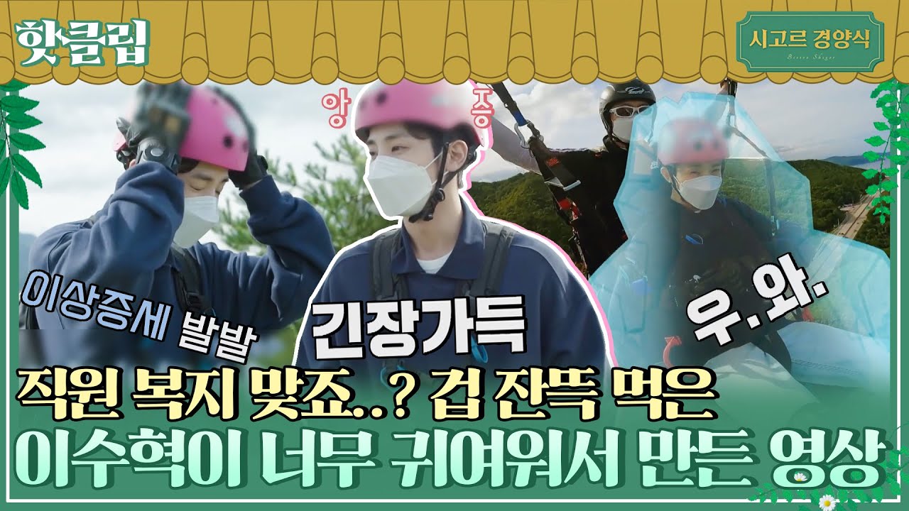 ♨핫클립♨ 첫 패러글라이딩에 겁먹은 이수혁 귀여워서 만든 영상(이마 팍팍 치는중ㅠㅠ) ｜시고르경양식｜JTBC 211122 방송