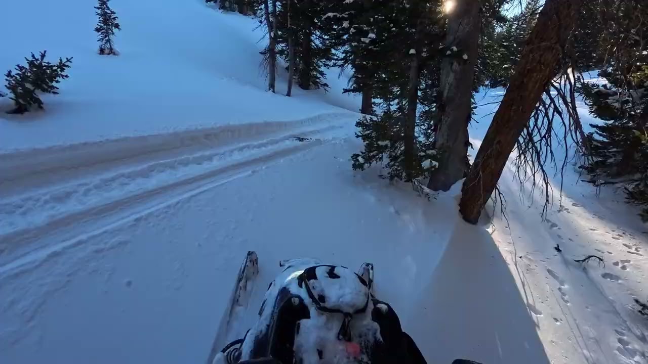 Up and down the ravine ￼