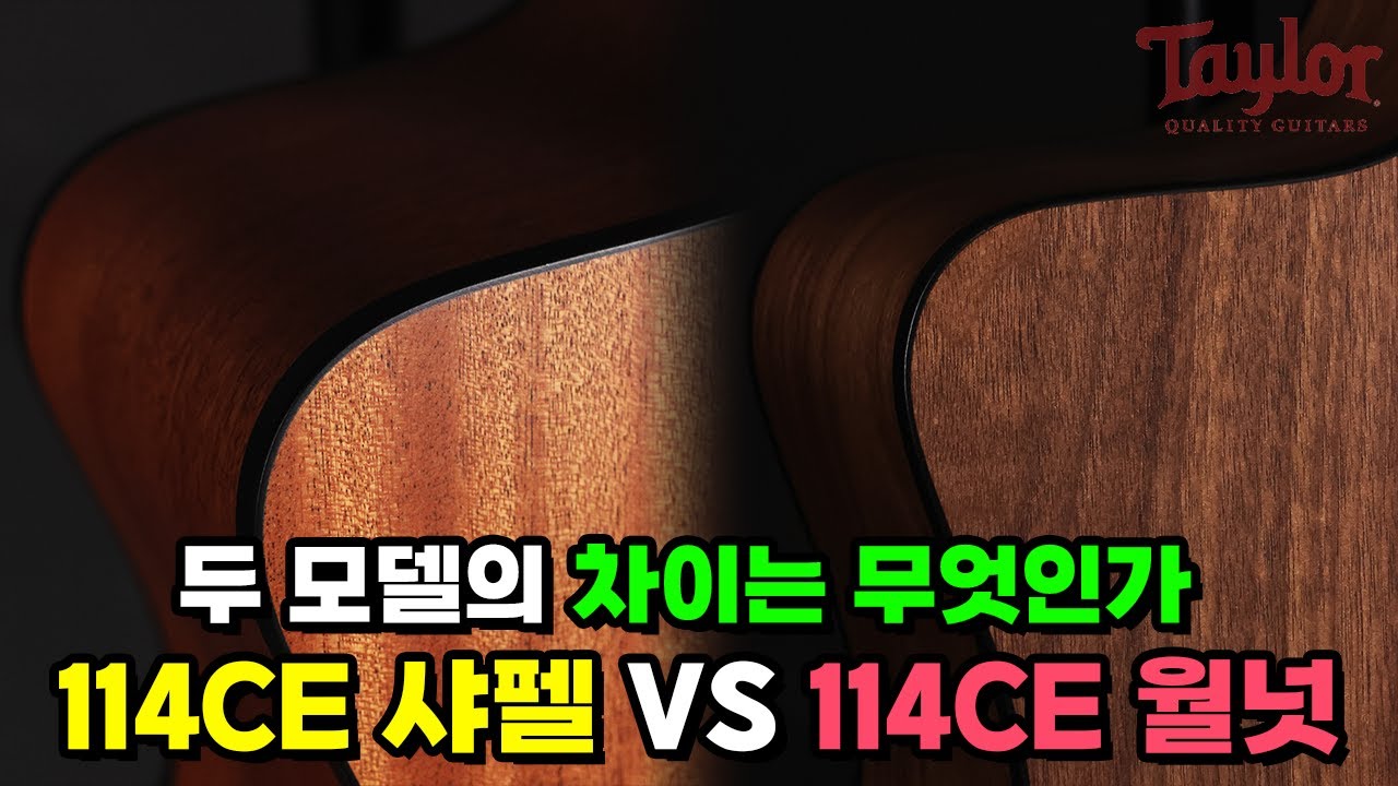 테일러 114CE 전격 비교!! 샤펠과 월넛 뭐가 다른가? | Taylor 114CE VS 114CE-S