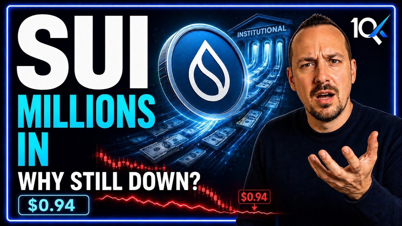 Don't Buy SUI Until You Watch This!