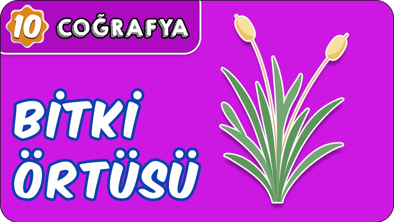 Bitki Örtüsü  | 10. Sınıf Coğrafya