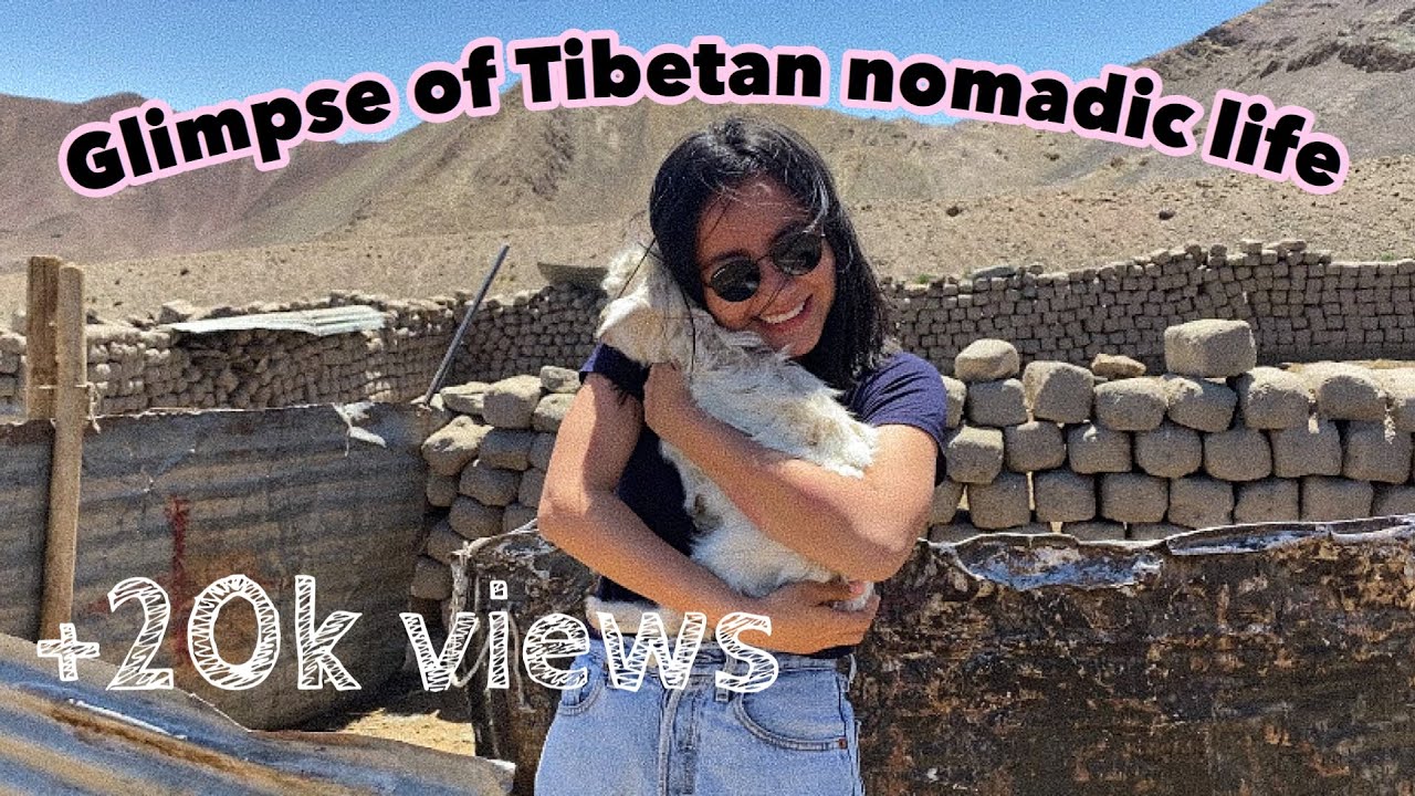 Tibetan nomadic life | Leh Ladakh | Tibetan Vlogger | Nomads in Ladakh | Dolma Lhamo