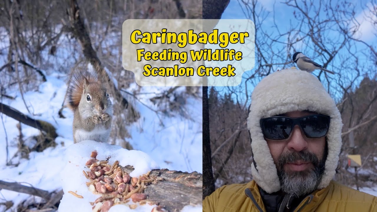Back to Scanlon Creek after being under the weather!