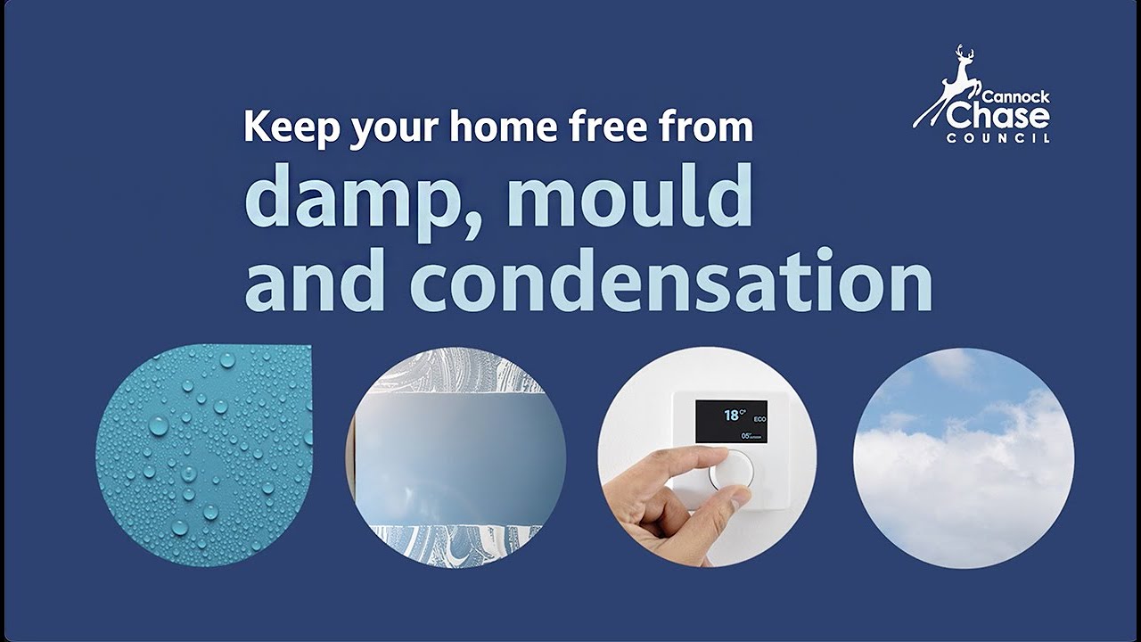 Damp, mould and condensation