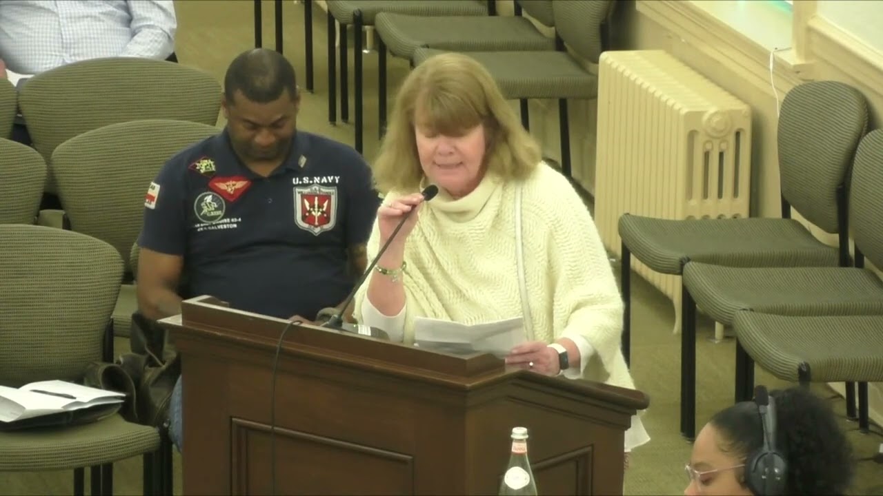 Annapolis Mayor Gavin Buckley accuses Alderman of being 'wasted' at city council meeting