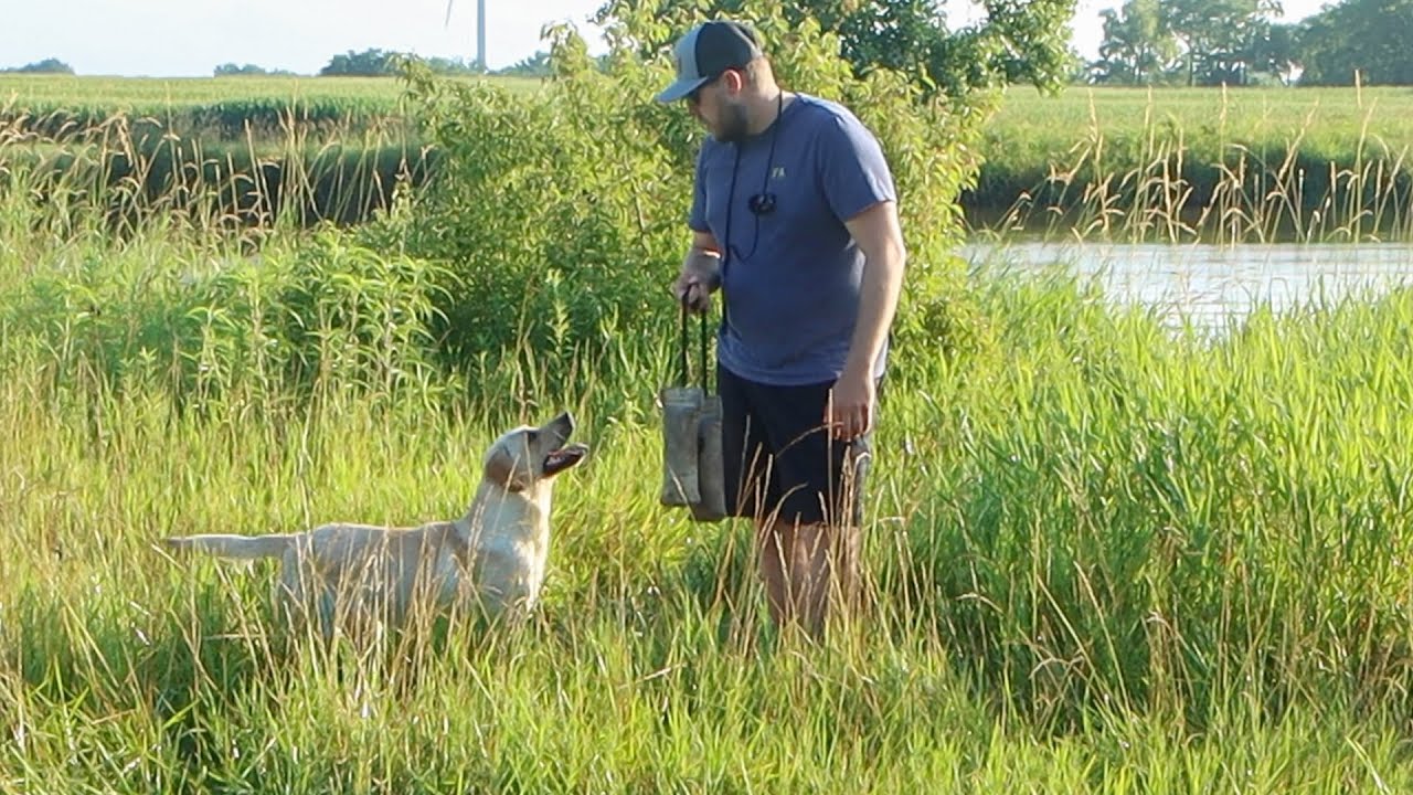 Is Nala Ready For Her First Hunt This Fall?