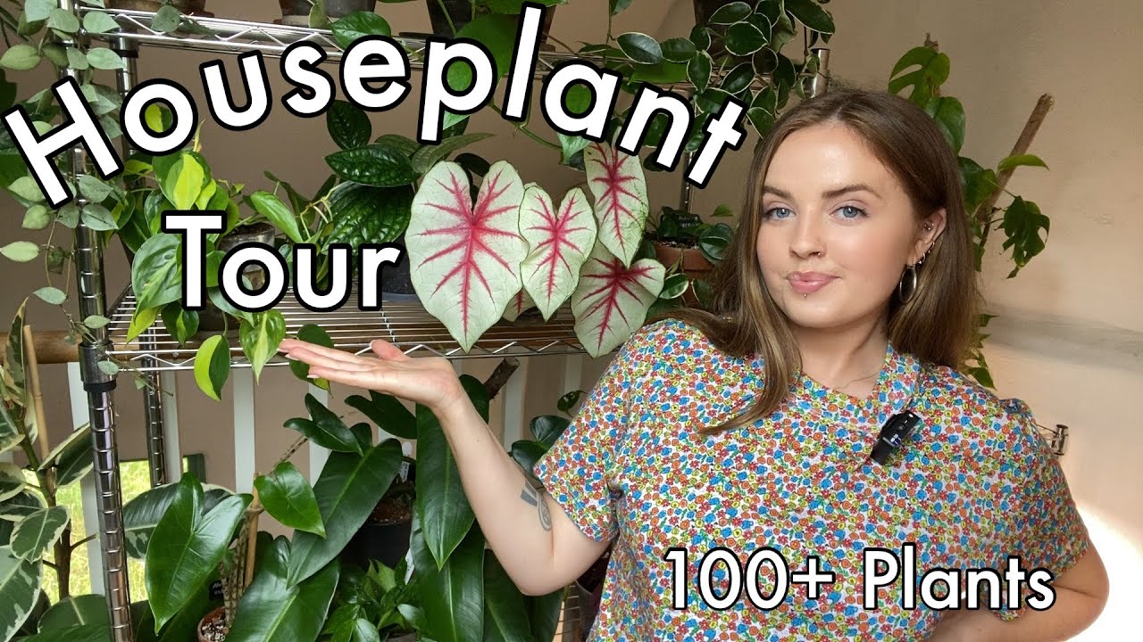 Houseplant Tour Summer 2021 | My Full Collection! (100+ plants)