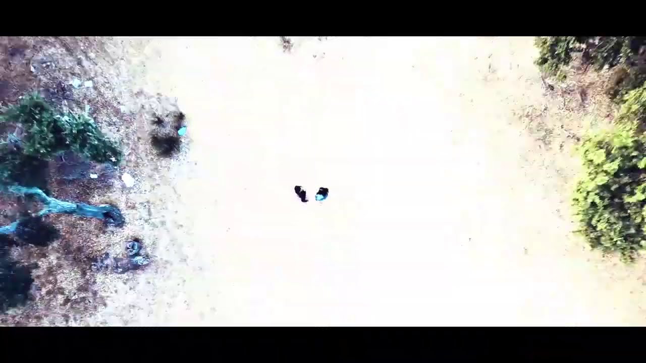CHOR . HALLOWEEN music video