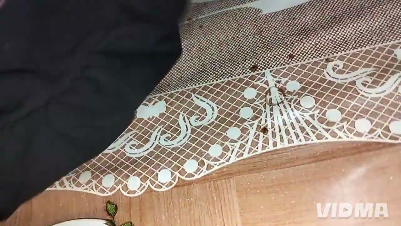 ملابس عيد صح فطوركم و سحوركم 🇩🇿🇩🇿🤲