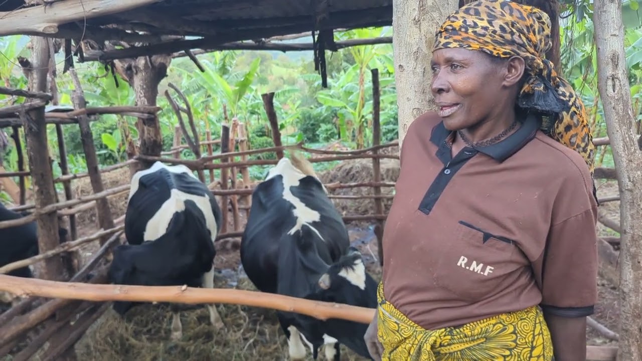 MAAJABU YA NG'OMBE WALIO LIPA ADA KUSOMESHA WATOTO CHUO 
