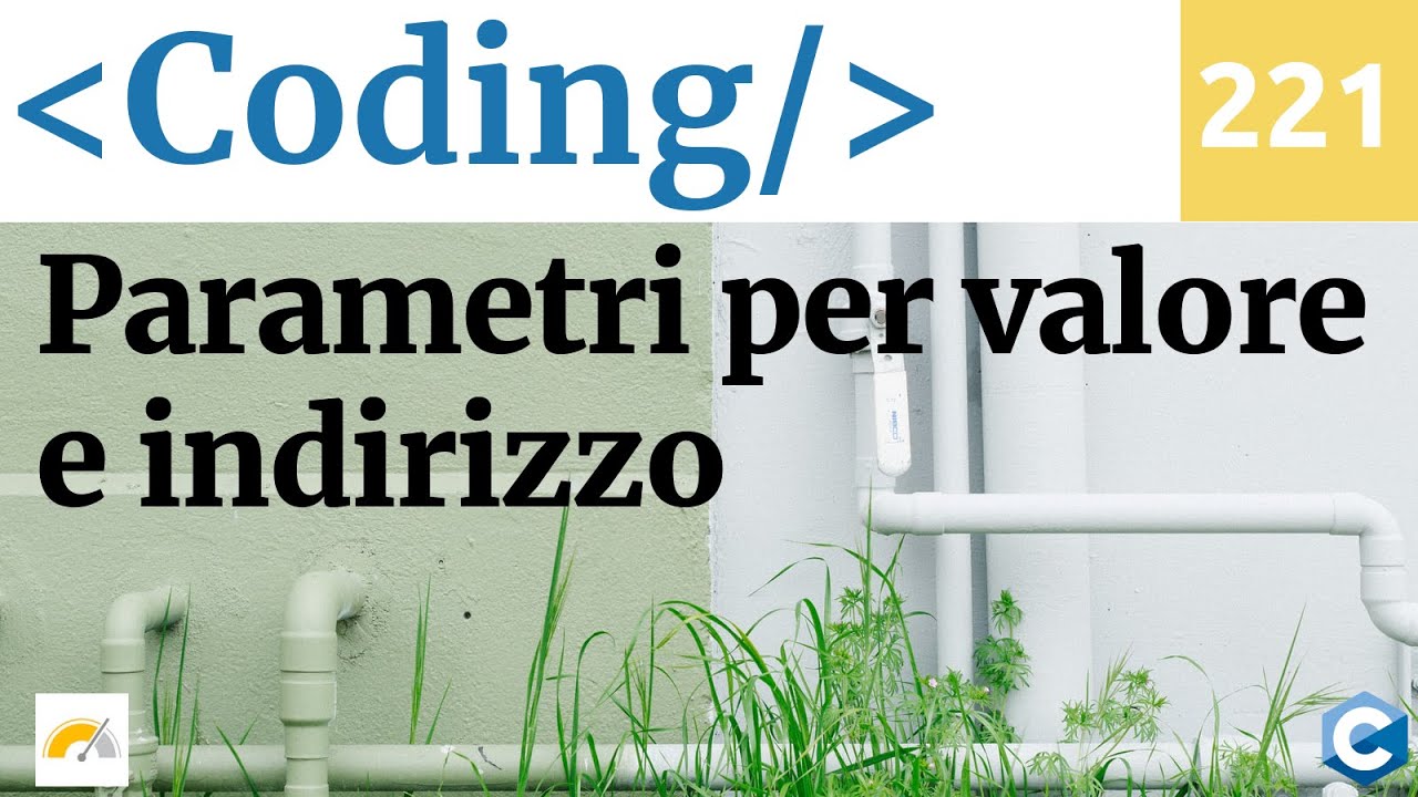 Passaggio parametri per valore e indirizzo a una funzione in C - Video 221