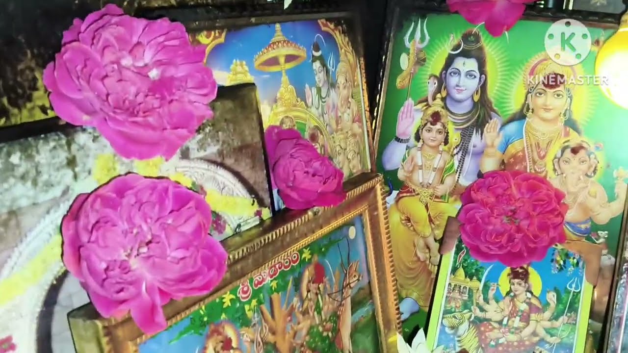 చేసి అరణ్యంలోకి తీసుకెళుతున్న  ద్వారా స్వామిని  గమనిస్తున్న