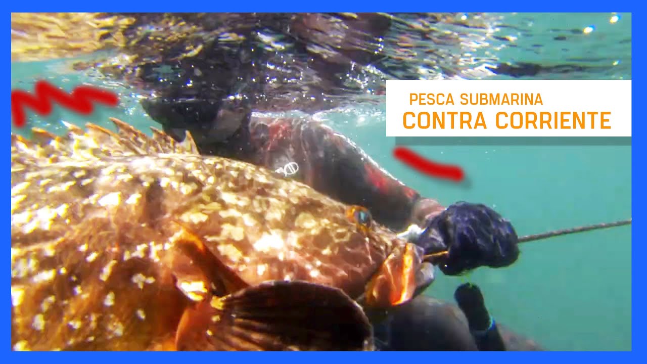 🦈✅🔝Pesca submarina CONTRA CORRIENTE con Diego Rodriguez y Borja Milanés