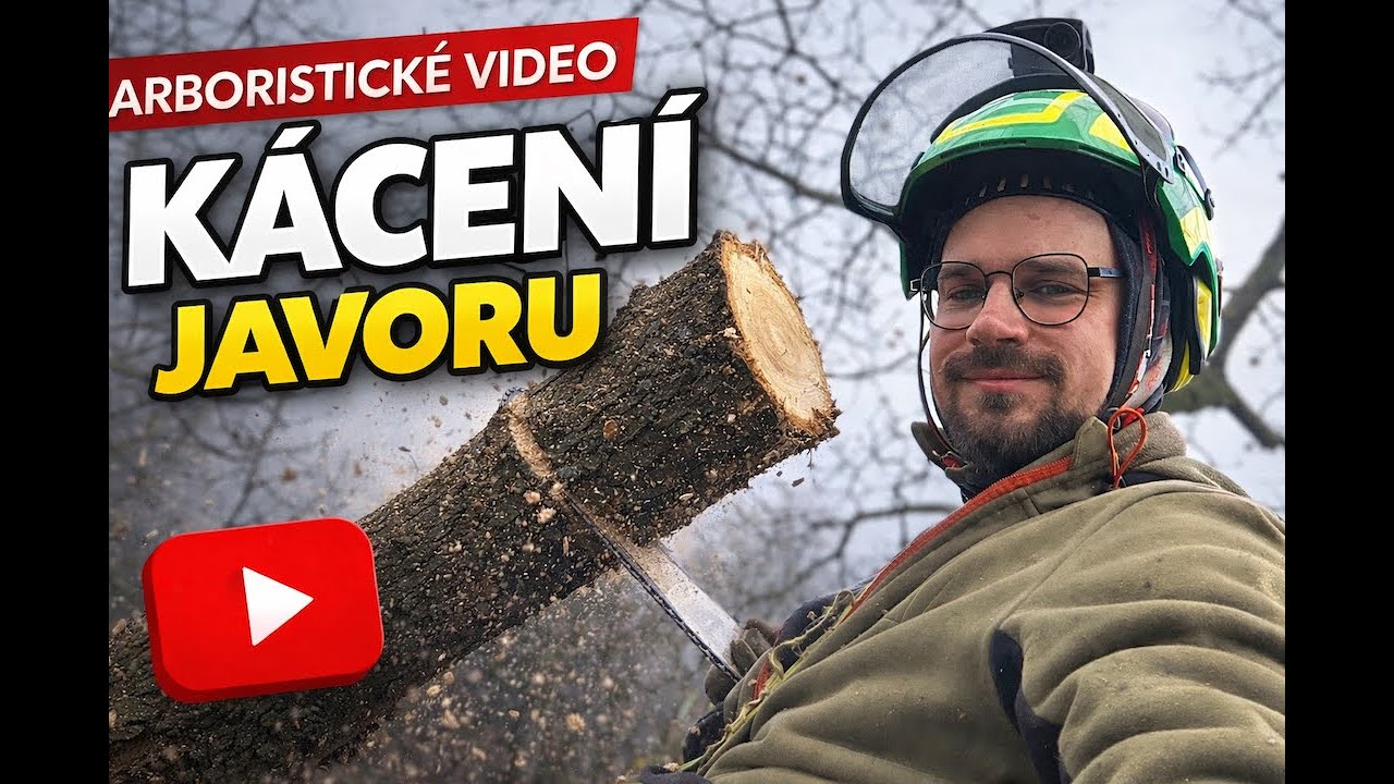🌳 Rizikové kácení stromů – arboristické video #1 🌳