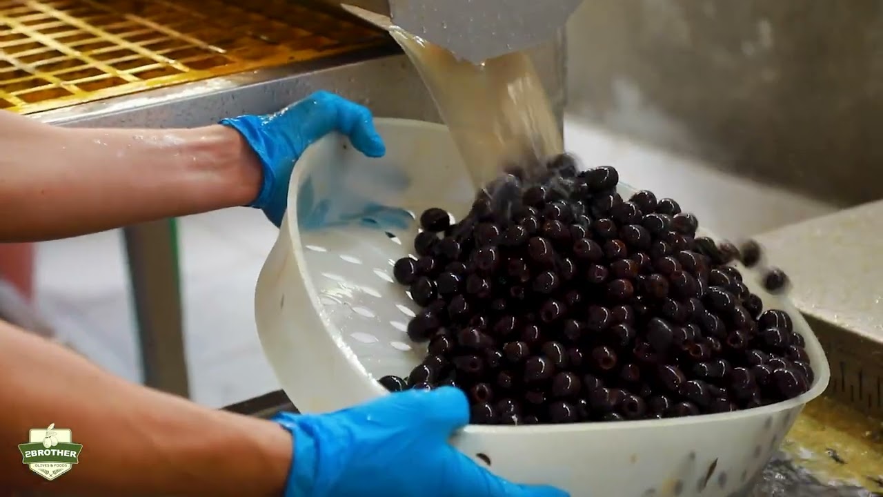 Inside Two Brothers: From Farms to Production Lines
