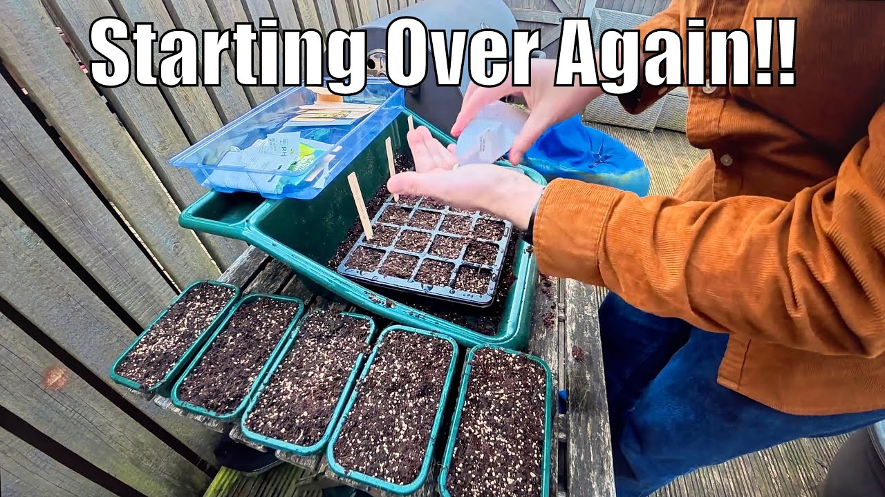 Starting Over Again | Seed Updates | Will It Work This Time?