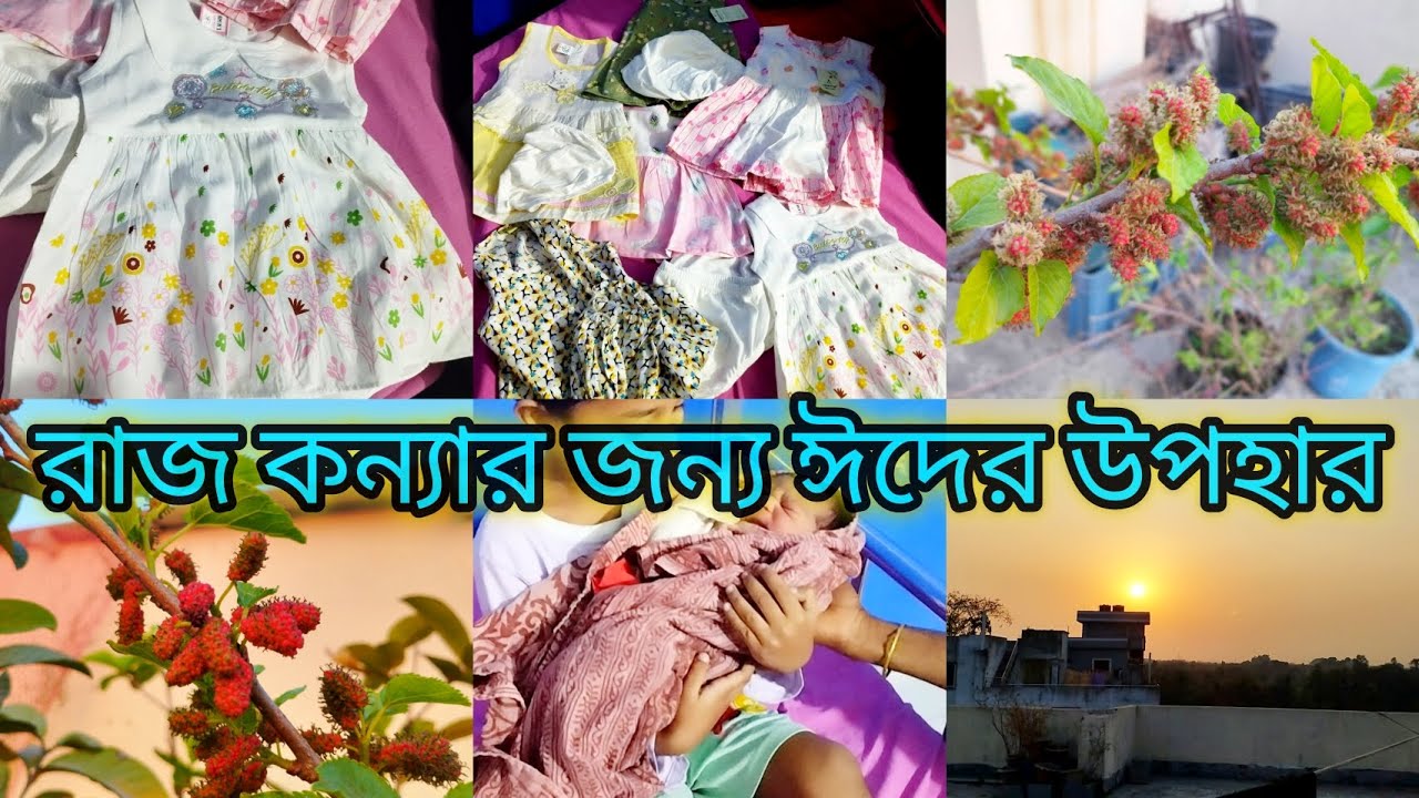 মায়ের সাথে মেয়ের জন্য ঈদ শপিং।। ছাদ বাগানে মালবেরির গাছে প্রচুর ফল এসেছে