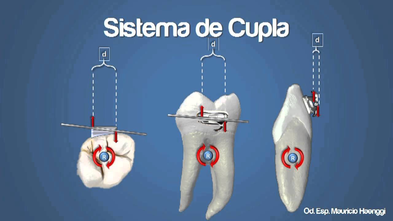 biomecanica parte 2 cupla