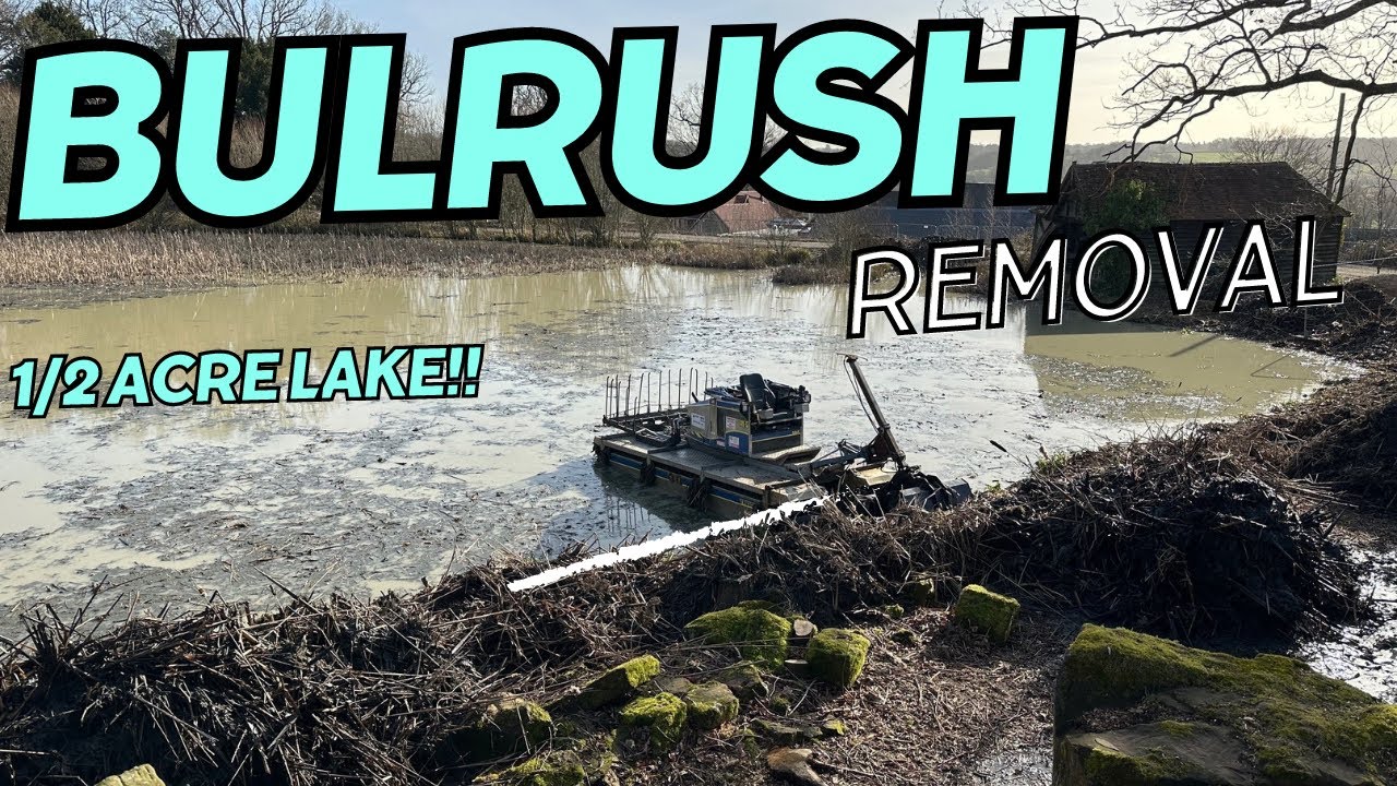 EP1 - 1/2 an acre of Bulrush removed!!