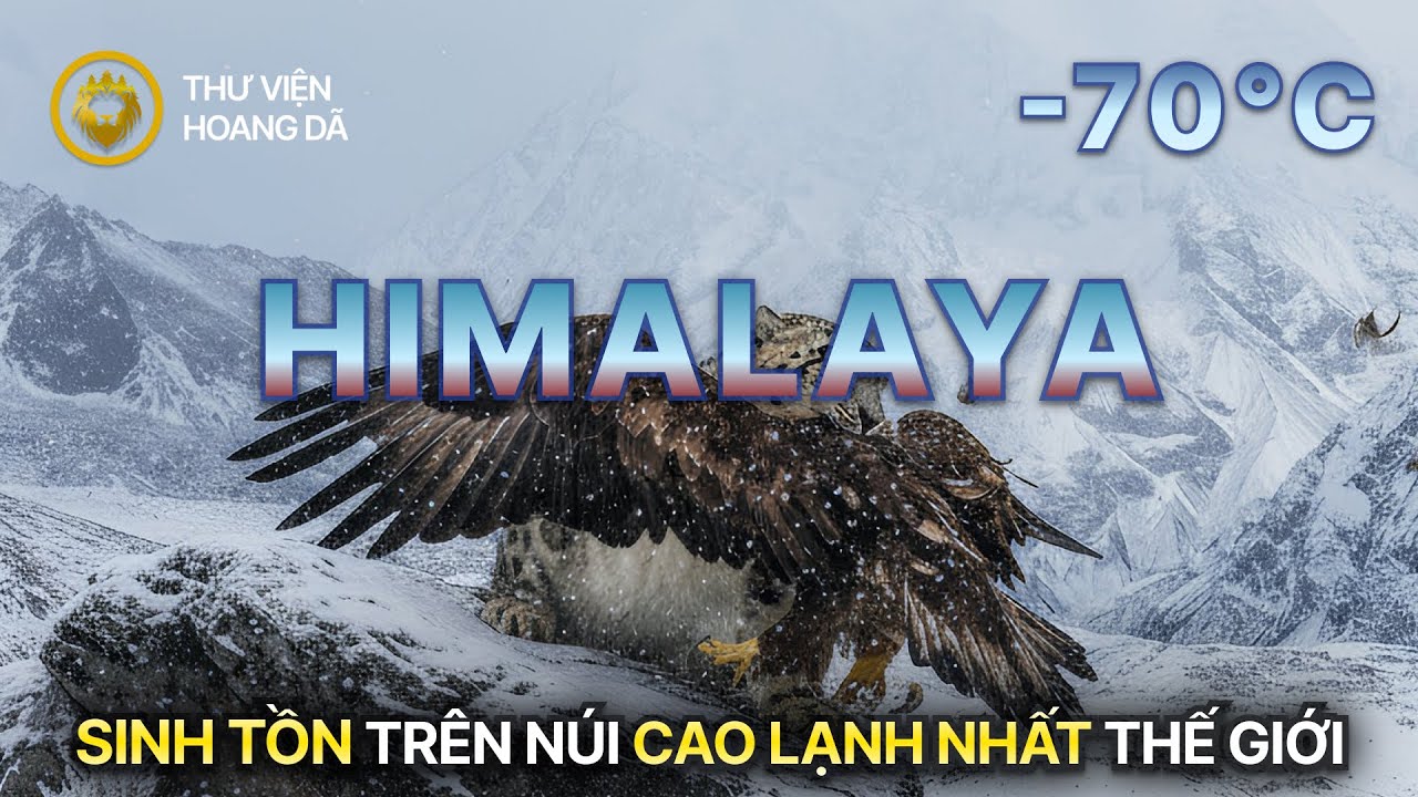 HIMALAYA HOANG D&Atilde; | Cuộc Chiến Sinh Tồn Nơi Cao, Lạnh Nhất H&agrave;nh Tinh #thegioidongvat