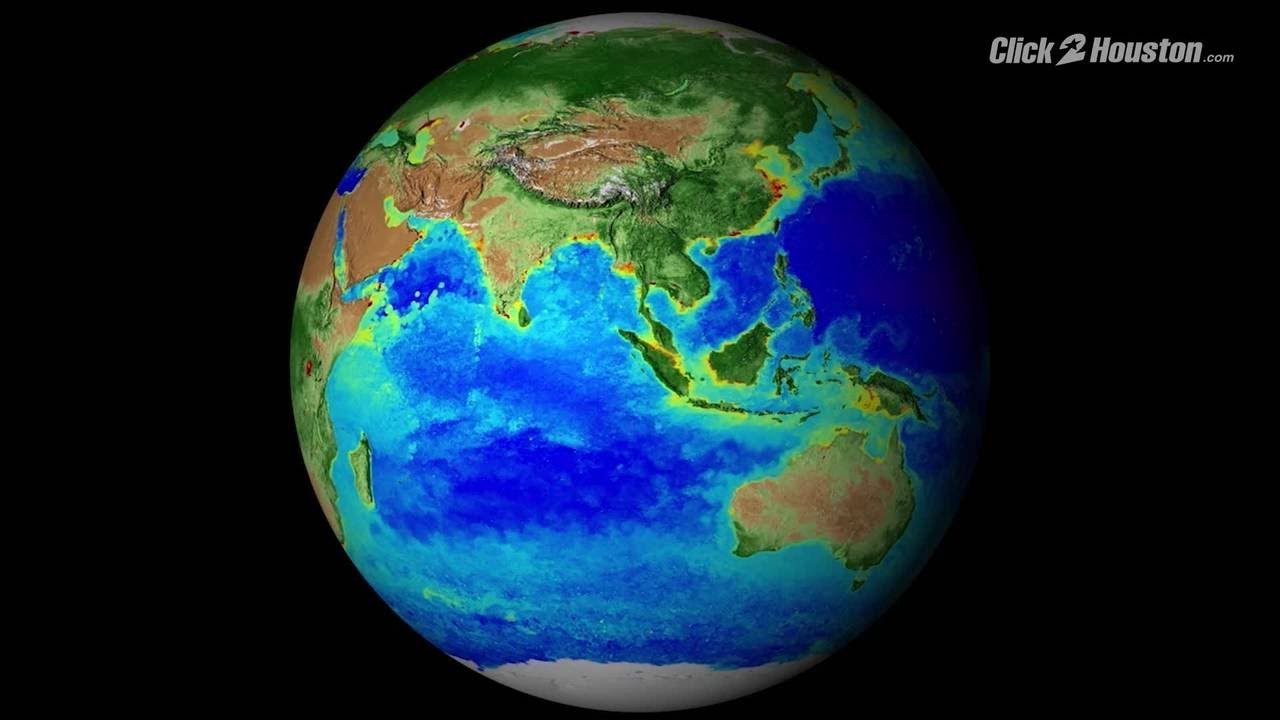 Spherical time-lapse map of life on Earth