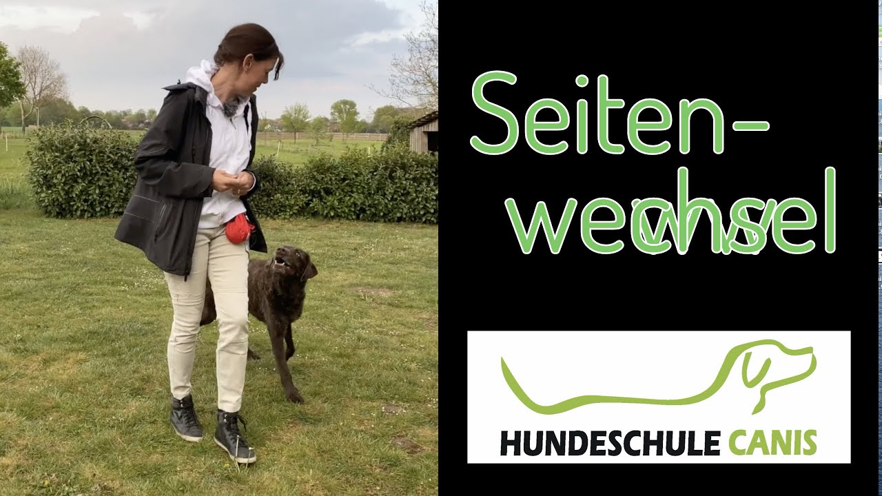 Seitenwechsel mit und ohne Leine - Hundeschule Canis