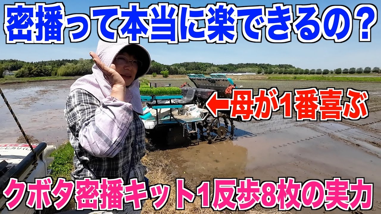 【密播で田植え】母が楽できる密播密苗の実力を検証しました 30代米作り奮闘記#356