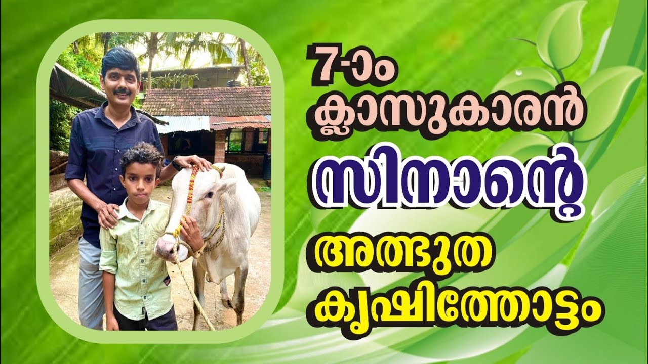 ഇങ്ങനെയും കുട്ടികൾ ഉണ്ട് ,കുട്ടി കർഷകൻ