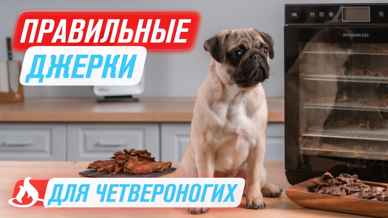 🐶 Лакомства для собак своими руками | Сушёное мясо в дегидраторе RAWMID RMD-10