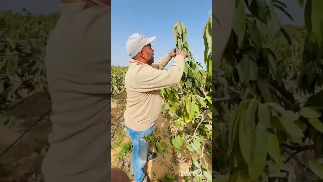 ٧ فبراير ٢٠٢٦