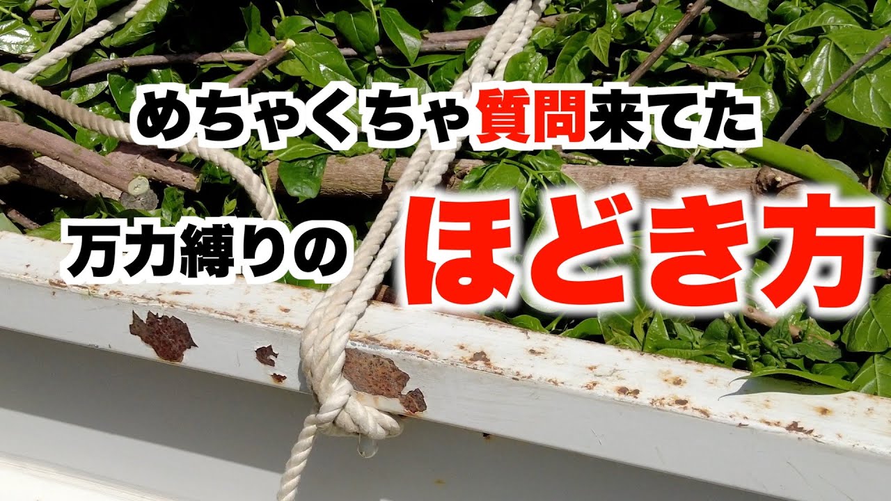 【ほどき方】万力縛り/南京結びのほどき方