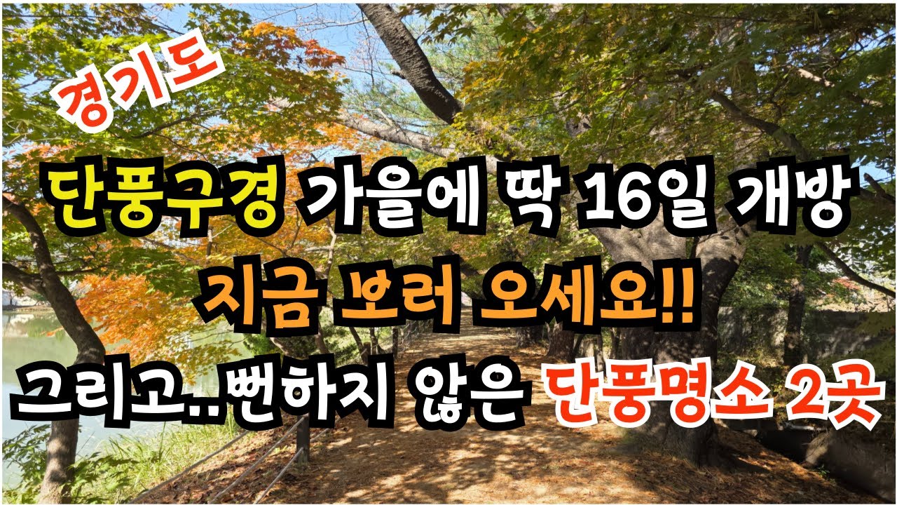 단풍구경 / 가을에 딱 16일 개방 지금 보러 오세요 / 그리고 뻔하지 않은 단풍명소 2곳 / 초보등산