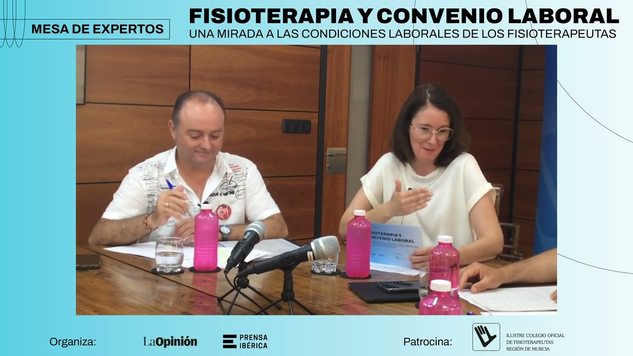FISIOTERAPIA Y CONVENIO LABORAL.  Una mirada a las condiciones laborales de los fisioterapeutas.