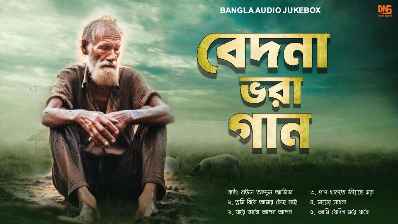 কান্না জাগানো কিছু বাংলা গান | বেদনা ভরা কষ্টের গান | Bangla Sad Audio Album | DNS MUSIC STUDIO |