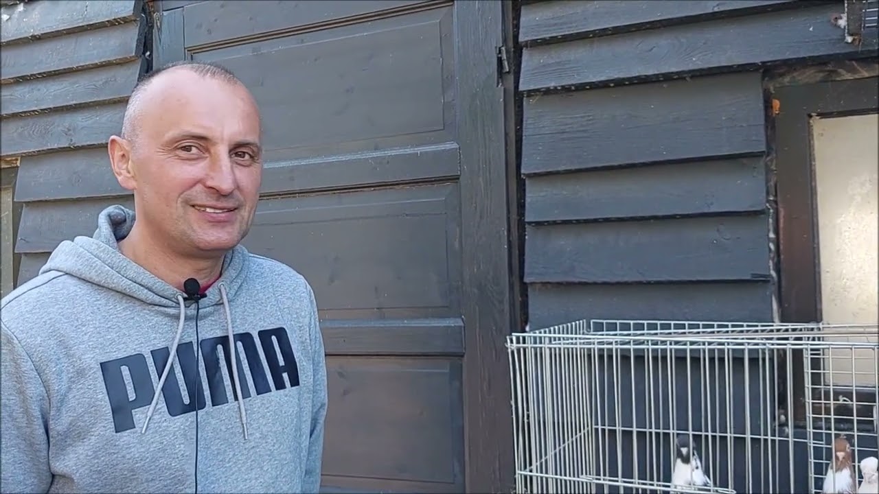 Wizyta w licencjonowanej hodowli gołębi zamojskich Wojciecha Kudyby