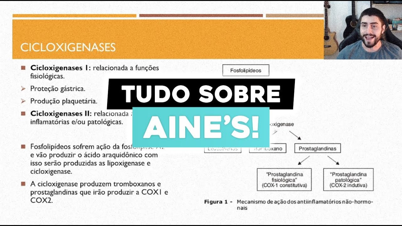 Guia completo sobre Anti-inflamatórios não esteroidais (AINES)