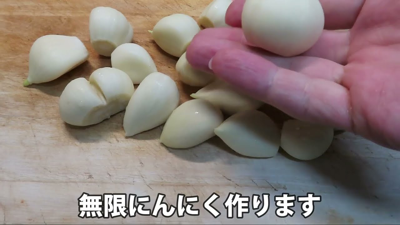 手作り無限ニンニク