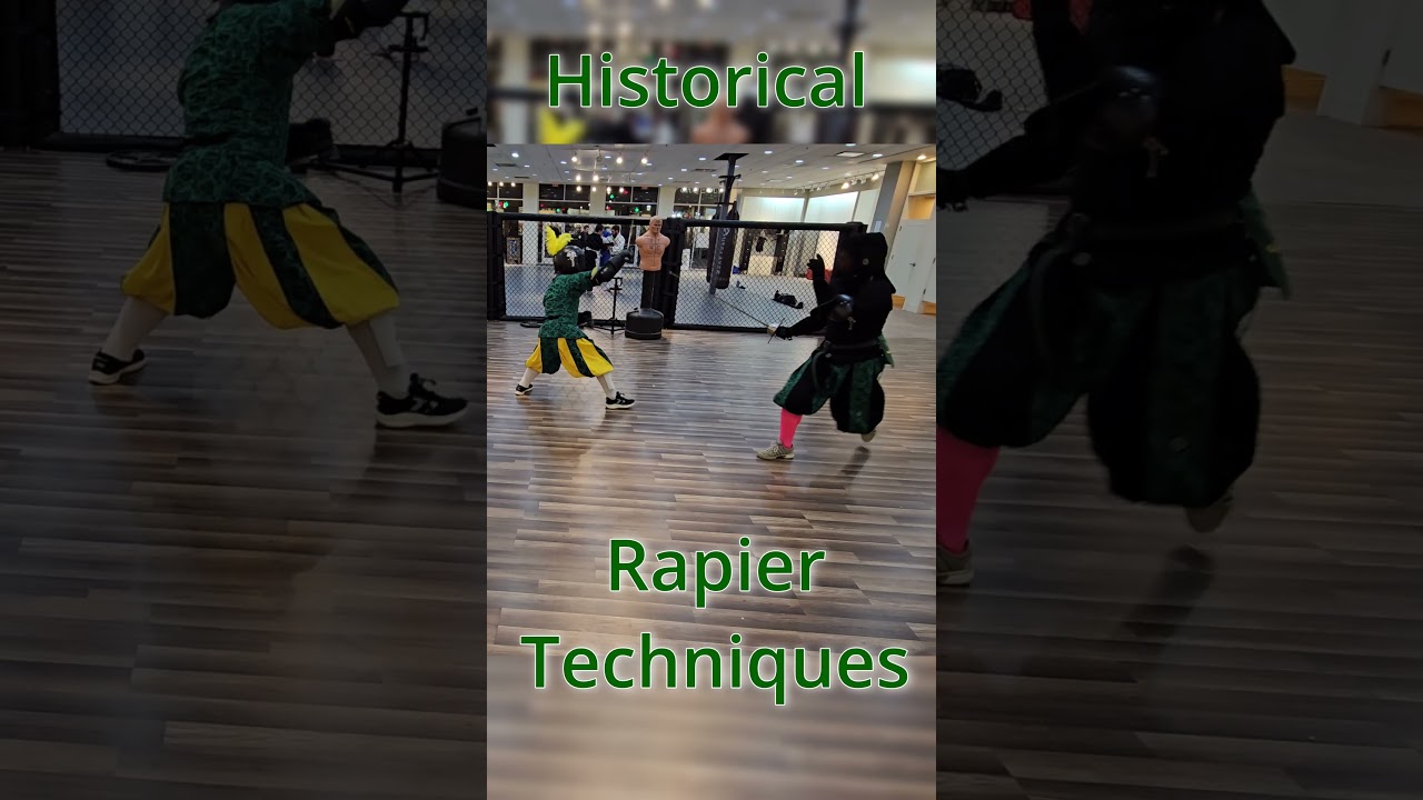 Historical Rapier Techniques #historicalfencing #swordfighting #swordmartialarts #sword #rapier