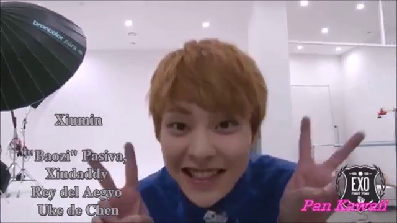 EXO ON CRACK #1 | Best Of EXO Crack | A D.O No Le Gusta Esto